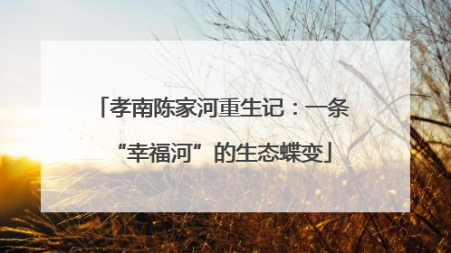 孝南陈家河重生记：一条“幸福河”的生态蝶变