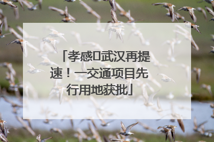 孝感⇋武汉再提速！一交通项目先行用地获批