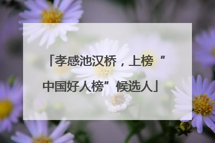 孝感池汉桥，上榜“中国好人榜”候选人