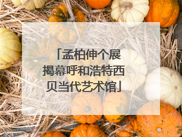 孟柏伸个展 揭幕呼和浩特西贝当代艺术馆