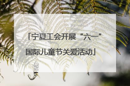 宁夏工会开展“六一”国际儿童节关爱活动