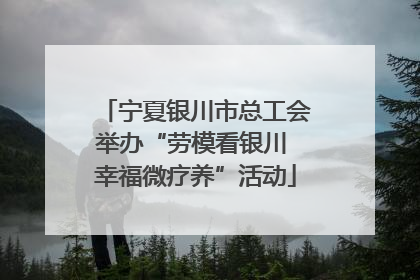 宁夏银川市总工会举办“劳模看银川 幸福微疗养”活动