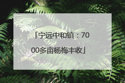 宁远中和镇：7000多亩杨梅丰收