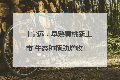 宁远：早熟黄桃新上市 生态种植助增收