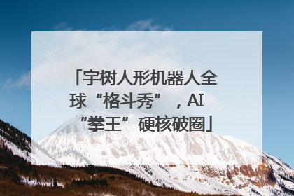 宇树人形机器人全球“格斗秀”，AI“拳王”硬核破圈