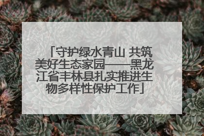 守护绿水青山 共筑美好生态家园——黑龙江省丰林县扎实推进生物多样性保护工作