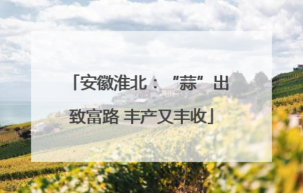 安徽淮北：“蒜”出致富路 丰产又丰收