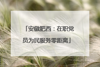 安徽肥西：在职党员为民服务零距离
