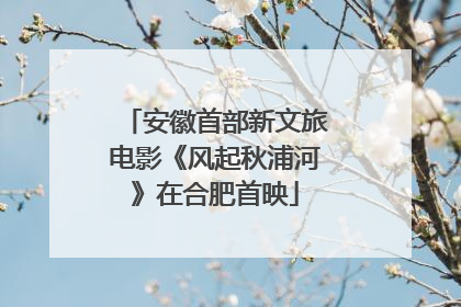 安徽首部新文旅电影《风起秋浦河》在合肥首映