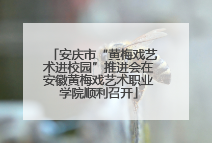 安庆市“黄梅戏艺术进校园”推进会在安徽黄梅戏艺术职业学院顺利召开