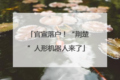 官宣落户！“荆楚”人形机器人来了
