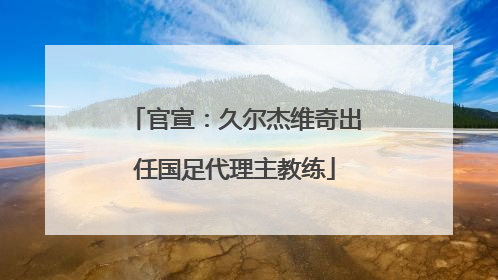 官宣：久尔杰维奇出任国足代理主教练