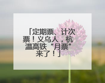 定期票、计次票！义乌人，杭温高铁“月票”来了！