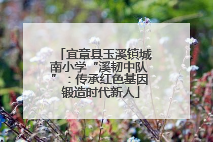 宜章县玉溪镇城南小学“溪韧中队”：传承红色基因 锻造时代新人