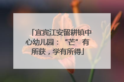 宜宾江安留耕镇中心幼儿园：“芒”有所获，学有所得