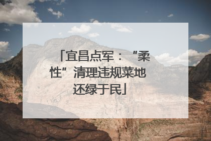 宜昌点军：“柔性”清理违规菜地 还绿于民