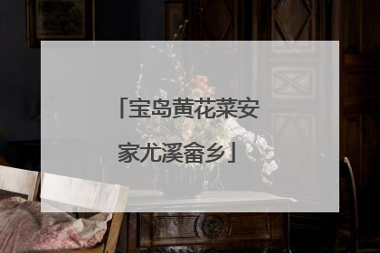 宝岛黄花菜安家尤溪畲乡
