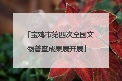 宝鸡市第四次全国文物普查成果展开展