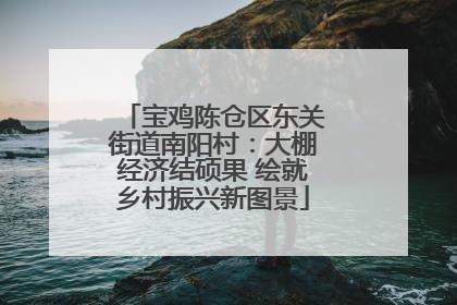 宝鸡陈仓区东关街道南阳村：大棚经济结硕果 绘就乡村振兴新图景