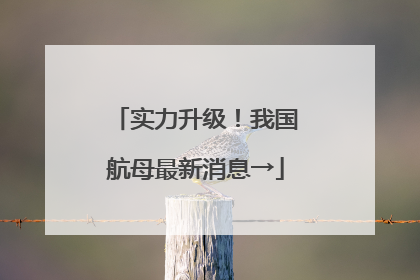 实力升级！我国航母最新消息→
