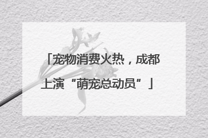 宠物消费火热，成都上演“萌宠总动员”