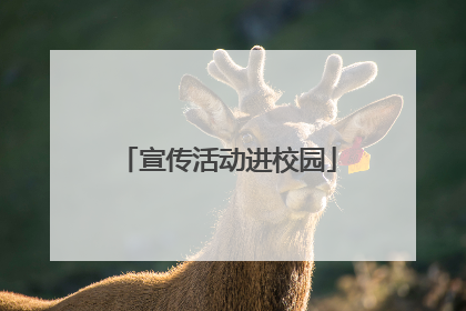 宣传活动进校园