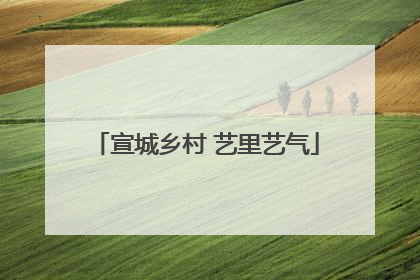 宣城乡村 艺里艺气