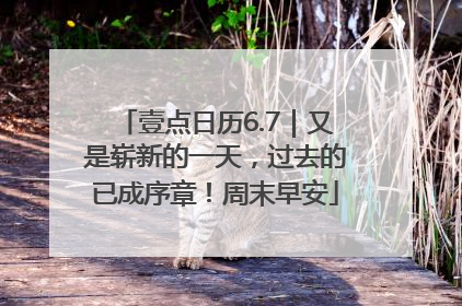 壹点日历6.7｜又是崭新的一天，过去的已成序章！周末早安