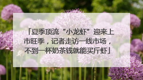 夏季顶流“小龙虾”迎来上市旺季，记者走访一线市场，不到一杯奶茶钱就能买斤虾