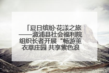 夏日缤纷·花漾之旅——溆浦县社会福利院组织长者开展“畅游薰衣草庄园 共享紫色浪漫”户外活动