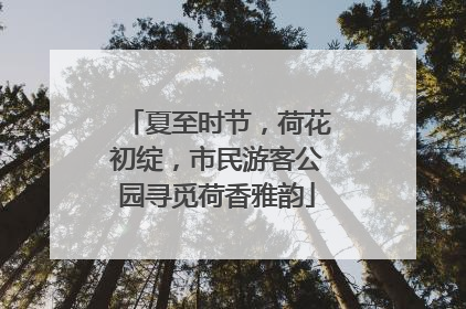 夏至时节，荷花初绽，市民游客公园寻觅荷香雅韵