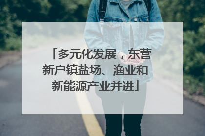 多元化发展，东营新户镇盐场、渔业和新能源产业并进