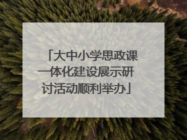 大中小学思政课一体化建设展示研讨活动顺利举办
