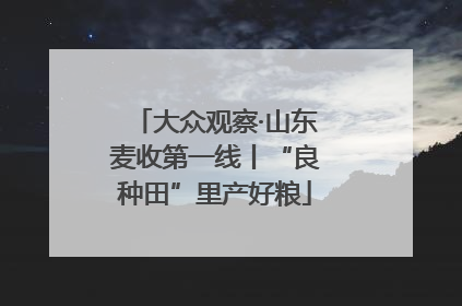 大众观察·山东麦收第一线丨“良种田”里产好粮