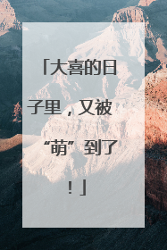 大喜的日子里，又被“萌”到了！