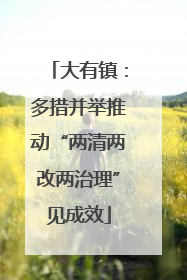 大有镇：多措并举推动“两清两改两治理”见成效