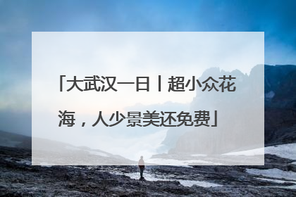 大武汉一日丨超小众花海，人少景美还免费