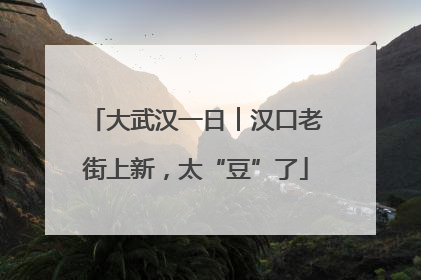 大武汉一日︱汉口老街上新，太“豆”了
