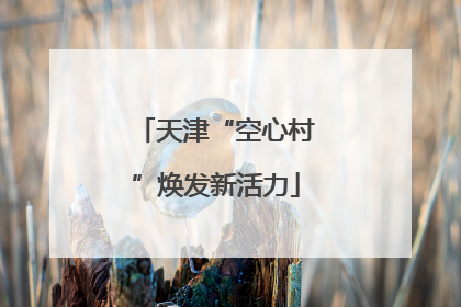 天津“空心村”焕发新活力
