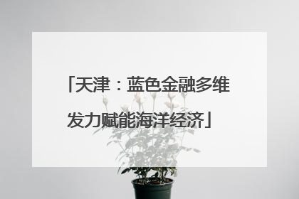 天津：蓝色金融多维发力赋能海洋经济