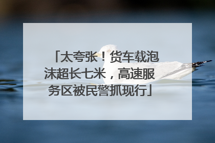 太夸张！货车载泡沫超长七米，高速服务区被民警抓现行