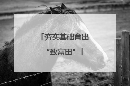 夯实基础育出“致富田”