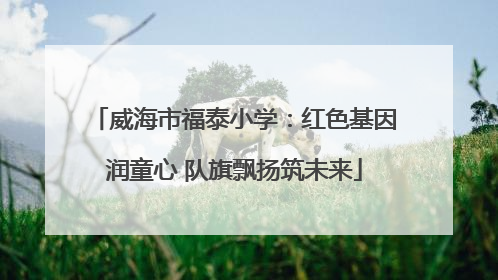 威海市福泰小学：红色基因润童心 队旗飘扬筑未来