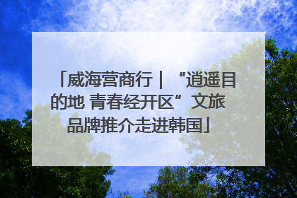 威海营商行｜“逍遥目的地 青春经开区”文旅品牌推介走进韩国