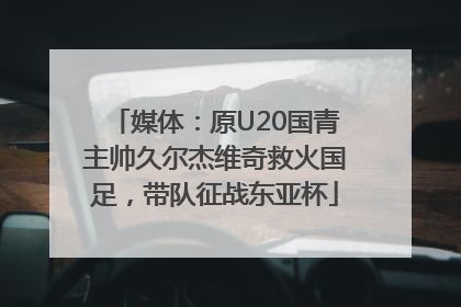 媒体：原U20国青主帅久尔杰维奇救火国足，带队征战东亚杯