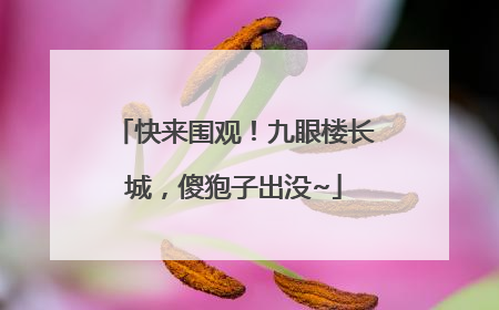 快来围观！九眼楼长城，傻狍子出没~