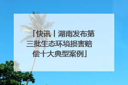 快讯丨湖南发布第三批生态环境损害赔偿十大典型案例