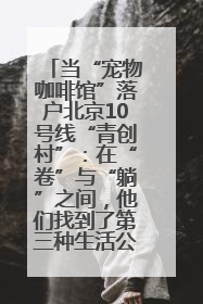 当“宠物咖啡馆”落户北京10号线“青创村”：在“卷”与“躺”之间，他们找到了第三种生活公式
