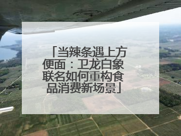 当辣条遇上方便面：卫龙白象联名如何重构食品消费新场景
