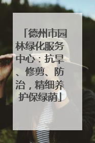 德州市园林绿化服务中心：抗旱、修剪、防治，精细养护保绿荫